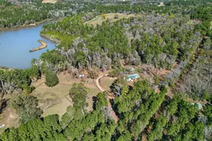 2000 W An County Rd 441, Palestine, TX 75803 - Photo 10