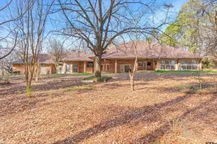 12098 Squirrel Rd, Pittsburg, TX 75686 - Photo 40