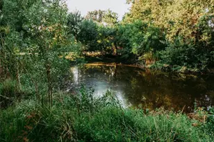 1609 County Rd 2626, Wells, TX 75976 - Photo 2