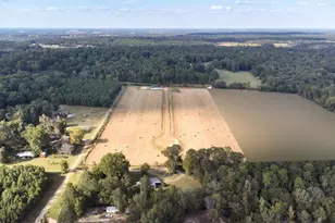 829 Private Road 3168, Gilmer, TX 75645 - Photo 4