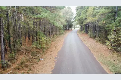 21521 County Road 2160, Troup, TX 75789 - Photo 2