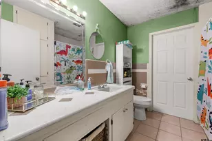 2510 Wychelm Dr, Kilgore, TX 75662 - Photo 28