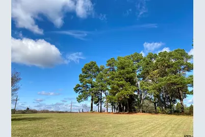 5706 N Fm 69, Quitman, TX 75783 - Photo 6