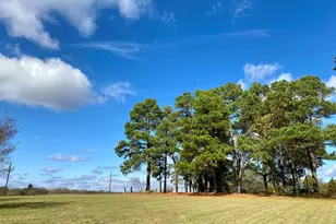 5706 N Fm 69, Quitman, TX 75783 - Photo 6