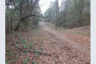 Tbd Ashwood, Gilmer, TX 75645 - Photo 4