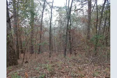 Tbd Ashwood, Gilmer, TX 75645 - Photo 1