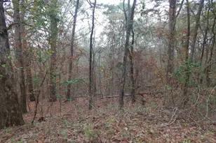 Tbd Ashwood, Gilmer, TX 75645 - Photo 1