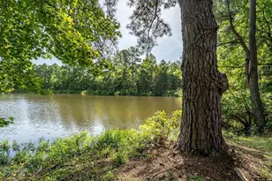 13165 Vicki Lynn Ln, Troup, TX 75789 - Photo 30