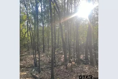 205 County Road 2880, Mineola, TX 75773 - Photo 44