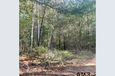 205 County Road 2880, Mineola, TX 75773 - Photo 36