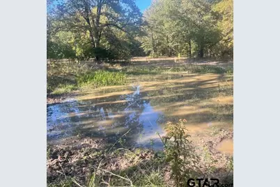 205 County Road 2880, Mineola, TX 75773 - Photo 30