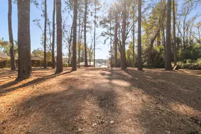 14131 Peninsula, Whitehouse, TX 75791 - Photo 4