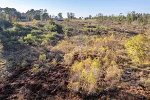 2445 FM 23, Rusk, TX 75785 - Photo 18