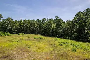 16045 Cr 1130, Flint, TX 75762 - Photo 48