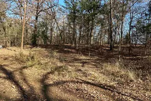 81 Cr 2614, Pittsburg, TX 75686 - Photo 1