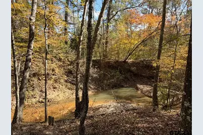 23791 Hwy 64E, Arp, TX 75750 - Photo 1