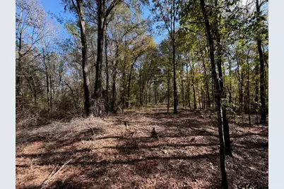 23791 Hwy 64E, Arp, TX 75750 - Photo 10