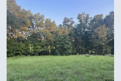 0000 Fm 2909 & Pr 8905, Canton, TX 75103 - Photo 4