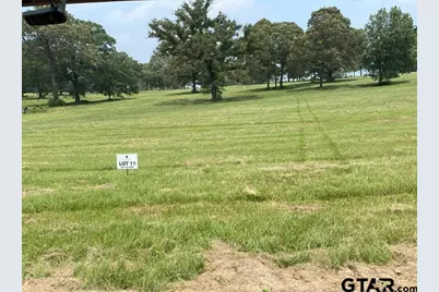 Lot 11 Tbd Private Road 3398, Big Sandy, TX 75755 - Photo 1