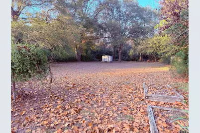 303 Jeannine St, Winnsboro, TX 75494 - Photo 14