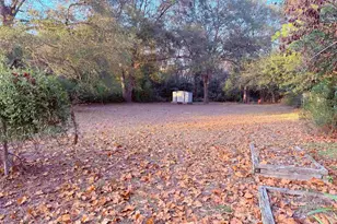 303 Jeannine St, Winnsboro, TX 75494 - Photo 14