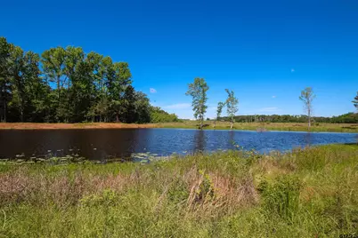 16391 Beacons Jet Ct, Lindale, TX 75771 - Photo 4