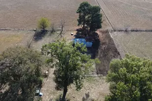 542 Co Rd 3114, Quitman, TX 75783 - Photo 10