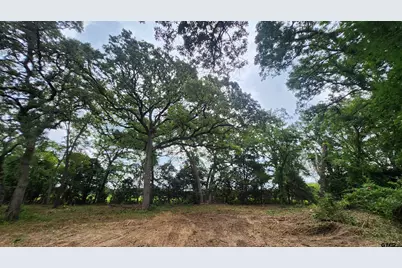 Lots 4,5,6 Holly Glen, Murchison, TX 75778 - Photo 2