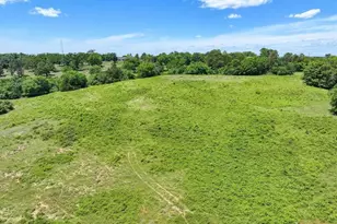 Tbd Cr 2493, Bullard, TX 75757 - Photo 4