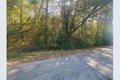 Lot 3 Fm 2015, Lindale, TX 75771 - Photo 2