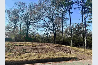 5785 Ramblewood Ln, Whitehouse, TX 75791 - Photo 6