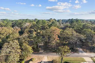 17617 Carol Cir, Flint, TX 75762 - Photo 38