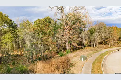 0000 Savannah Hills, Longview, TX 75605 - Photo 16