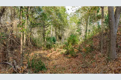 0000 Savannah Hills, Longview, TX 75605 - Photo 4