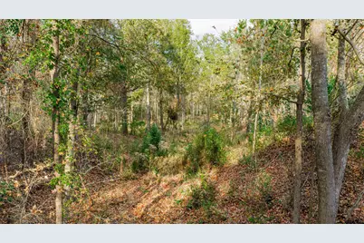 0000 Savannah Hills, Longview, TX 75605 - Photo 2