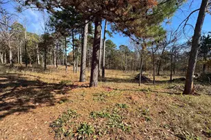 12463 Plum Dr, Lindale, TX 75771 - Photo 32