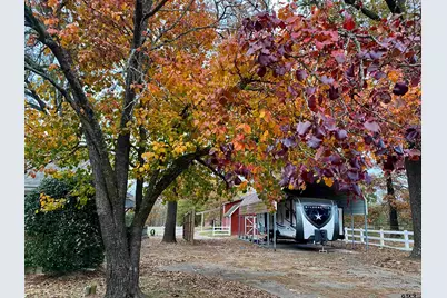352 Cr 3120, Quitman, TX 75783 - Photo 6