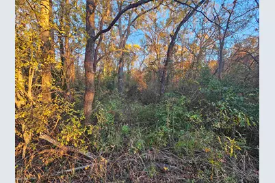 18184 Cr 4108, Lindale, TX 75771 - Photo 2