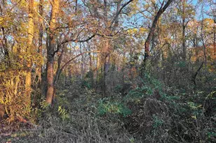 18184 Cr 4108, Lindale, TX 75771 - Photo 1