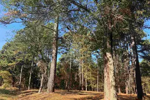 186 Susan Dr, Bullard, TX 75757 - Photo 1