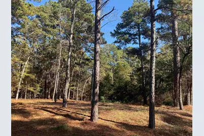 186 Susan Dr, Bullard, TX 75757 - Photo 2