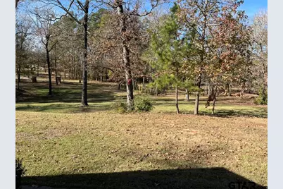 360 Acr 330, Palestine, TX 75803 - Photo 28