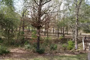 360 Acr 330, Palestine, TX 75803 - Photo 44