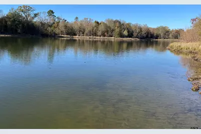 373 Cr 2724, Mineola, TX 75773 - Photo 6