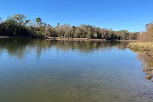 373 Co Rd 2724, Mineola, TX 75773 - Photo 6