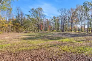 11142 Cr 4103, Lindale, TX 75771 - Photo 44