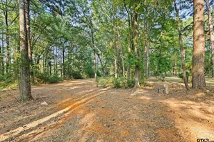 286 Hall Dr, Longview, TX 75605 - Photo 44