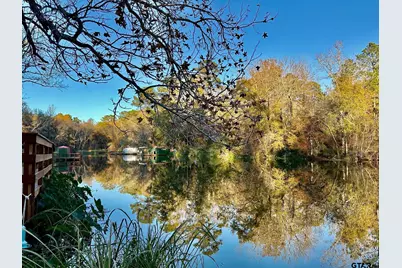 20489 W Grove Club Lake Rd., Whitehouse, TX 75791 - Photo 38