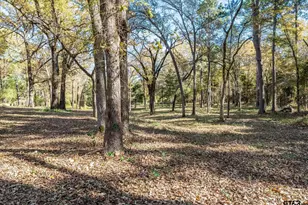 8241 N Fm 314, Ben Wheeler, TX 75754 - Photo 30
