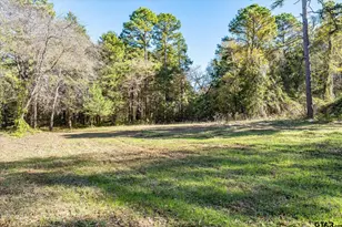 8241 N Fm 314, Ben Wheeler, TX 75754 - Photo 34